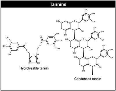 Role of Secondary Plant Metabolites on Enteric Methane Mitigation in Ruminants